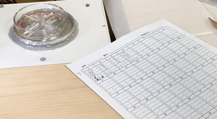 Verify the amount of transplants after surgery