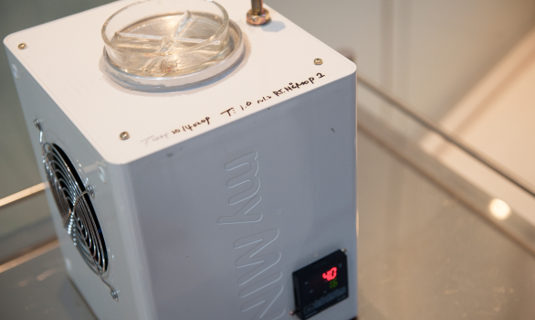 Low temperature retention device