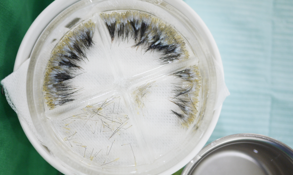 Surgical environment identical to organ transplant surgery