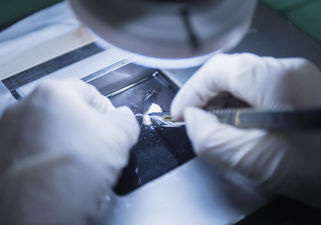 Underwater isolation aqua cutting