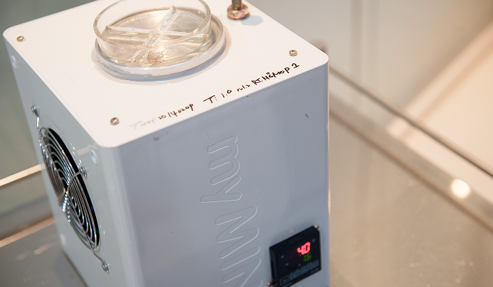 Organ preservation solution and low temperature retention